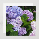 Mooie Hydrangeas Note Card (Voorkant / Achterkant)