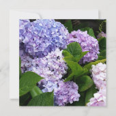 Mooie Hydrangeas Note Card (Voorkant)