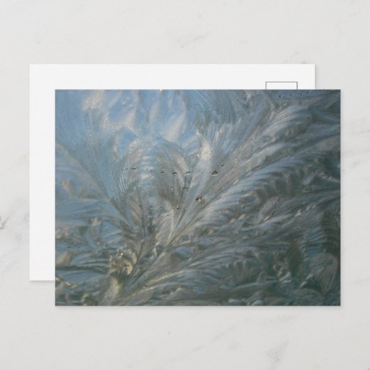 Mooie Ice Flower DIY Briefkaart (Voorkant / Achterkant)