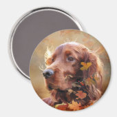 Mooie Ierse rode setter Magneet (Voorkant / Achterkant)