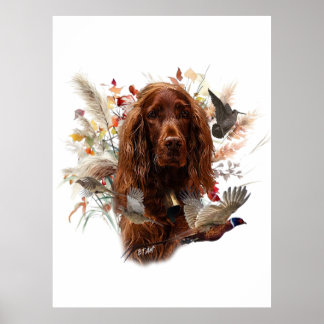 Mooie Ierse rode setter Poster