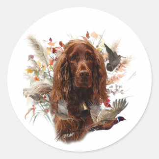 Mooie Ierse rode setter Ronde Sticker
