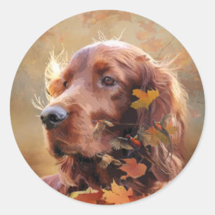 Mooie Ierse rode setter Ronde Sticker