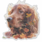 Mooie Ierse rode setter Sticker (Voorkant)