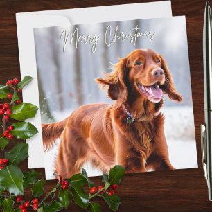 Mooie Ierse Roodharige Setter Hondenras Kerstmis Feestdagenkaart