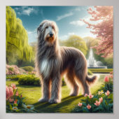 Mooie Ierse Wolfshond Poster (Voorkant)