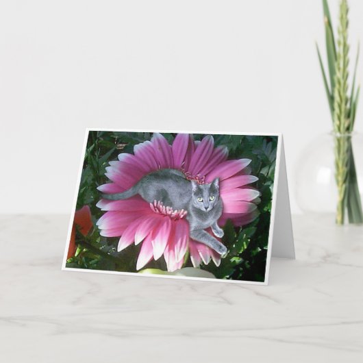 Mooie in Roze Kaart (Voorkant)