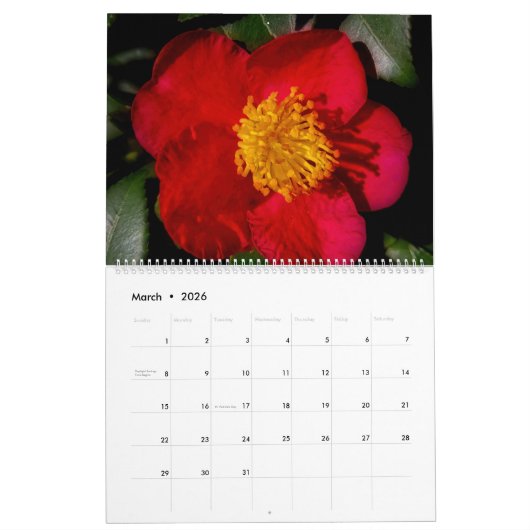 MOOIE INDRUKKEN KALENDER (Mar 2026)