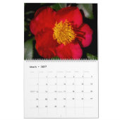 MOOIE INDRUKKEN KALENDER (Mar 2027)