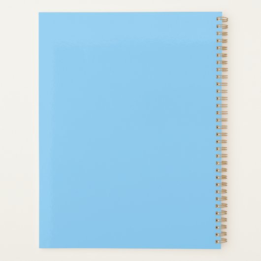 Mooie inheemse Amerikaanse vrouw inheemse outfit Planner (Achterkant)