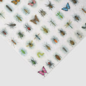 Mooie insectencollectie waterverf stijl beestjes  tissuepapier (Detail)