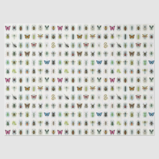 Mooie insectencollectie waterverf stijl beestjes  tissuepapier (Voorkant)