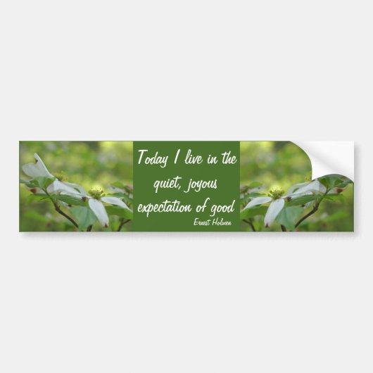 Mooie Inspirerende Bloem Cornus Spreuk  Bumpersticker (Voorkant)