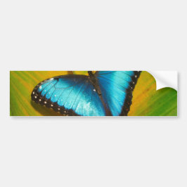 Mooie Iridescent Butterfly Bumpersticker