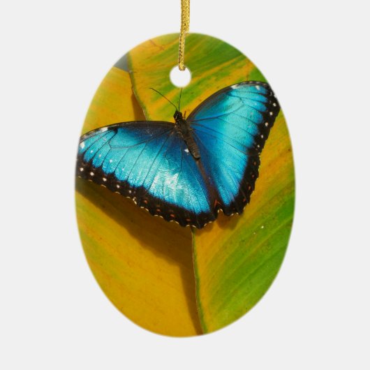 Mooie Iridescent Butterfly Keramisch Ornament (Voorkant)