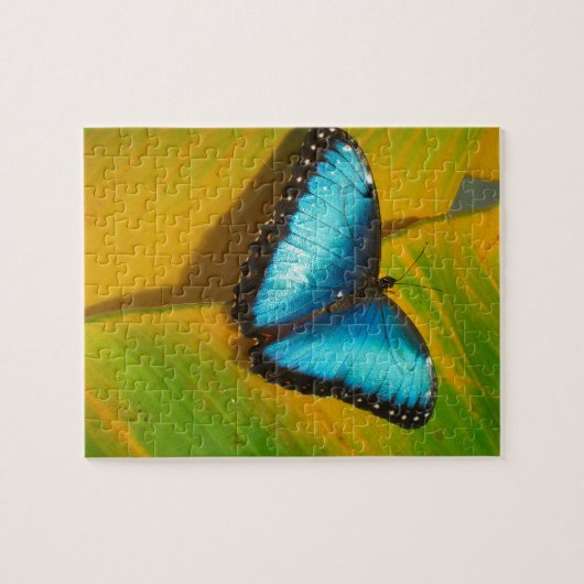 Mooie Iridescent Butterfly Legpuzzel (Horizontaal)