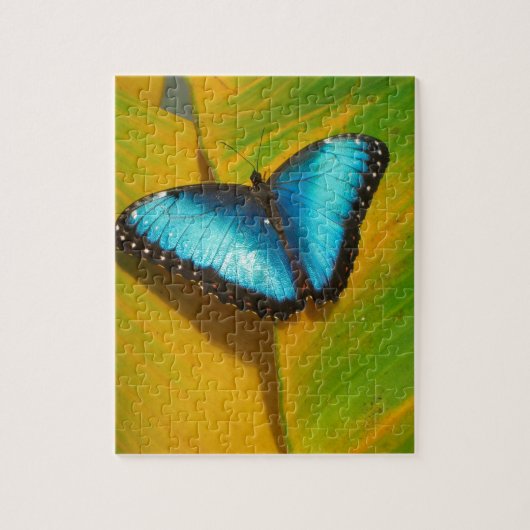 Mooie Iridescent Butterfly Legpuzzel (Verticaal)