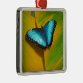 Mooie Iridescent Butterfly Metalen Ornament (Rechts)