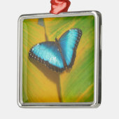 Mooie Iridescent Butterfly Metalen Ornament (Links)