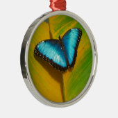 Mooie Iridescent Butterfly Metalen Ornament (Rechts)