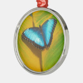 Mooie Iridescent Butterfly Metalen Ornament (Links)