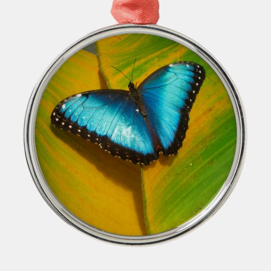 Mooie Iridescent Butterfly Metalen Ornament (Voorkant)