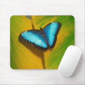 Mooie Iridescent Butterfly Muismat (Met muis)