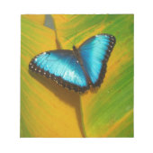 Mooie Iridescent Butterfly Notitieblok (Voorkant)