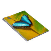 Mooie Iridescent Butterfly Notitieboek (Rechterzijde)