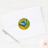 Mooie Iridescent Butterfly Ronde Sticker (Envelop)