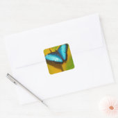 Mooie Iridescent Butterfly Vierkante Sticker (Envelop)