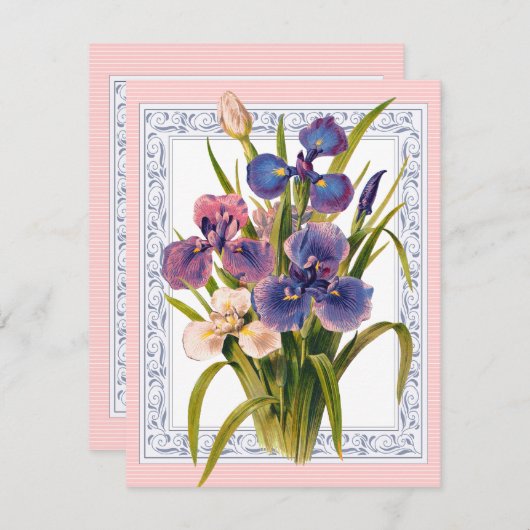 Mooie  Iris Boeket Verjaardag Kaart (Voorkant / Achterkant)