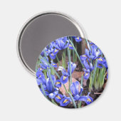 MOOIE IRIS MAGNEET (Voorkant / Achterkant)