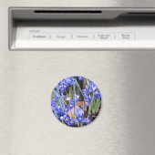 MOOIE IRIS MAGNEET (Insitu (Vaatwasser))