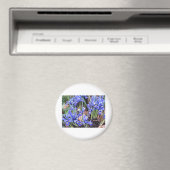MOOIE IRIS MAGNEET (Insitu (Vaatwasser))