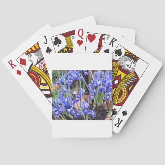 MOOIE IRIS SPEELKAARTEN (Achterkant)