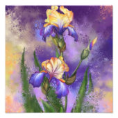 Mooie Iris-ventilator - Migned Painting Art Foto Afdruk (Voorkant)