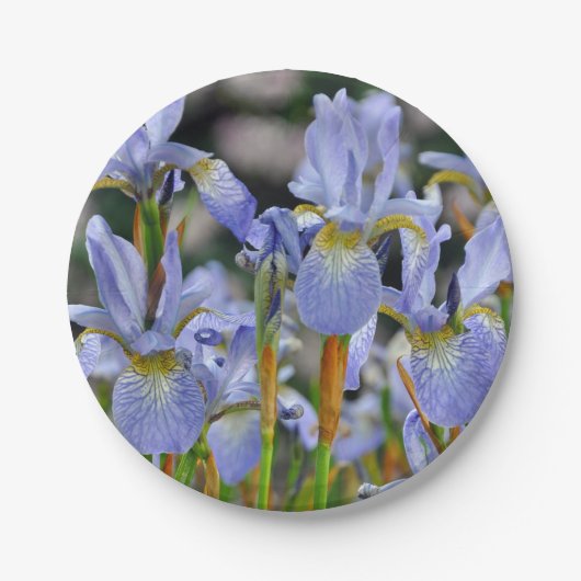 Mooie irisbloemen papieren bordje (Voorkant)