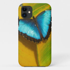 Mooie iriserende vlinder Case-Mate iPhone case