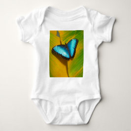 Mooie iriserende vlinder romper