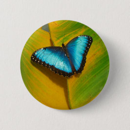 Mooie iriserende vlinder ronde button 5,7 cm