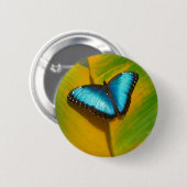 Mooie iriserende vlinder ronde button 5,7 cm (Voorkant /achterkant)