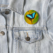 Mooie iriserende vlinder ronde button 5,7 cm (In situ)