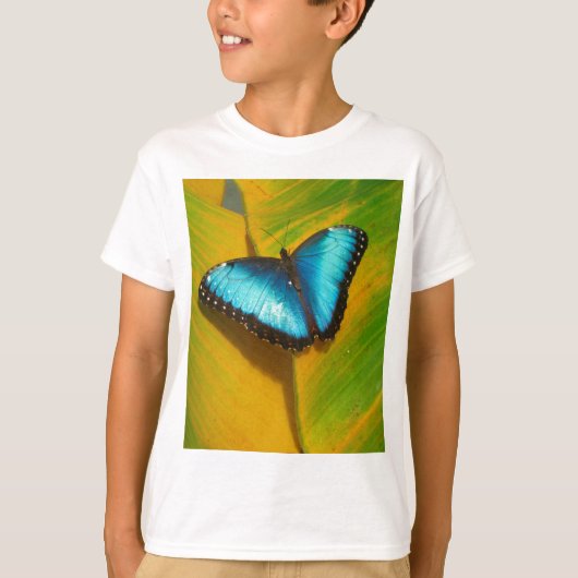 Mooie iriserende vlinder t-shirt (Voorkant)