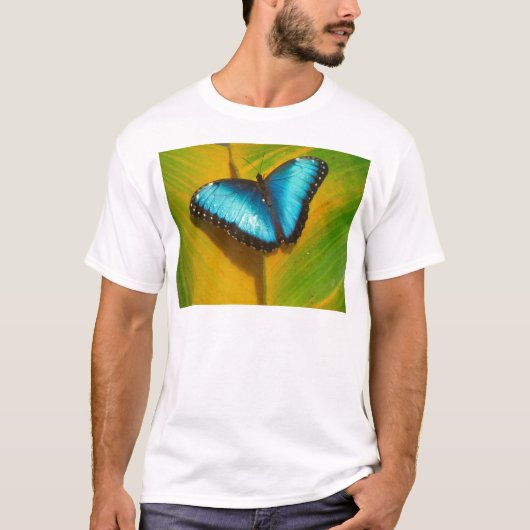 Mooie iriserende vlinder t-shirt (Voorkant)