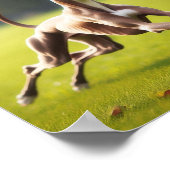 Mooie Italiaanse windhond die op het gras loopt Poster (Hoek)