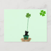 Mooie Jack The Cat's St. Patrick's Day Briefkaart (Achterkant)