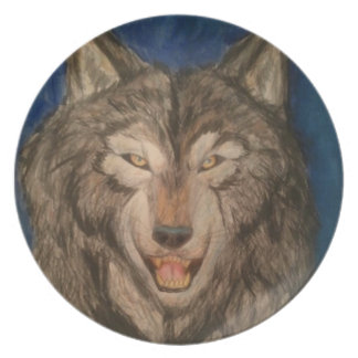 mooie jager melamine+bord