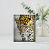 Mooie jaguar briefkaart (Staand voorkant)