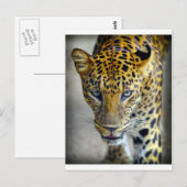 Mooie jaguar briefkaart (Voorkant / Achterkant)